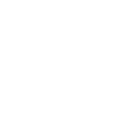 03- Ethical practices